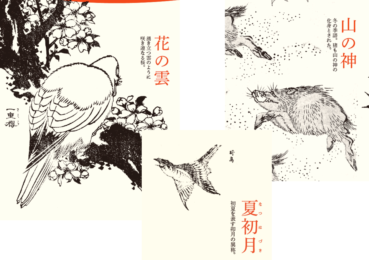 特徴3